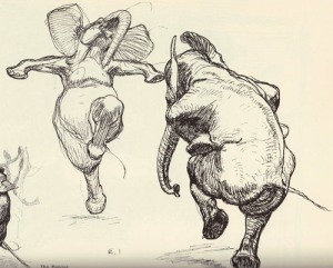 Dancing Elephants by Heinrich Kley